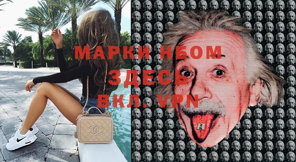 кокс Алексин
