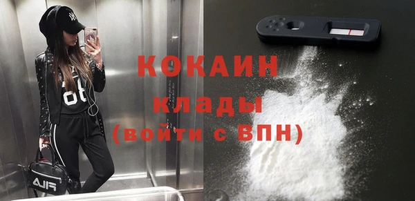 кокс Алексин